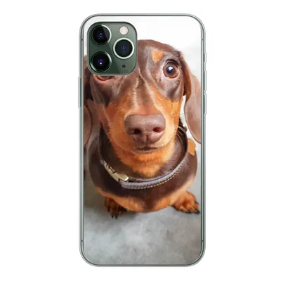 Produktbild von MuchoWow® Handyhülle Schutzhülle Hülle für iPhone 11 Pro Nahaufnahme des Kopfes eines Dackels Silikon Softcase Handy Hülle - Handy