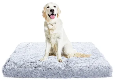 Obrázok produktu pre Ortopedická podložka pre psov, protišmyková, umývateľná, svetlosivá, 120x80x10 cm