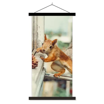 Produktbild von MuchoWow® Textilposter Eichhörnchen - Fenster - Herbst - Tannenzapfen 90x180 cm mit schwarzem Rahmen - Dekoration Wohnzimmer