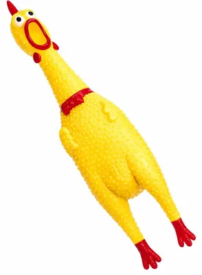 Immagine prodotto di PARENCE. Giocattolo per cani e galline, grande, 31 cm – giocattolo per cani con sonaglio – grigio