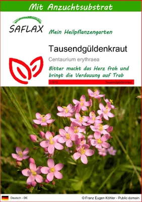 Produktbild von SAFLAX - Tausendgüldenkraut - Centaurium erythraea - 250 Samen - Mit keimfreiem Anzuchtsubstrat