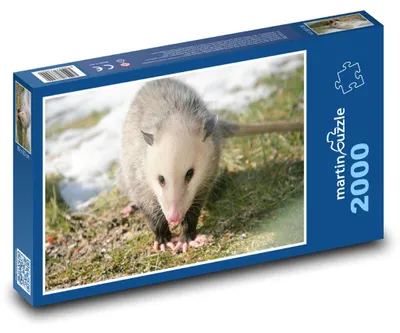 Zdjęcie produktu dla martinpuzzle - Puzzle 2000 - Vačice