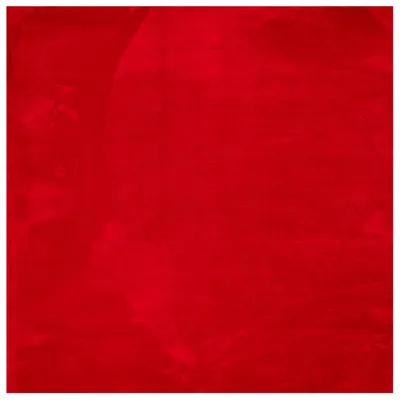 Image de vidaXL Tapis HUARTE à poils courts Doux et lavable Rouge 160x160 cm
