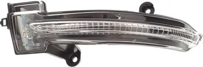 Image de Rétroviseur Clignotant GAUCHE 963066605R pour Renault Megane IV 4 2015-