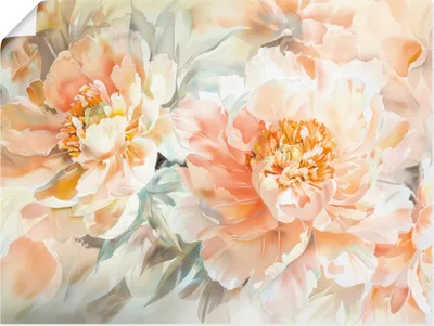 Produktbild von ARTland Poster Pfirsisch Farbene Pfingstrosen Aquarell Größe: 80x60 cm