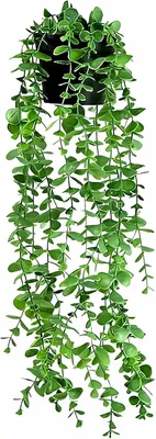 Produktbild von Künstliche Eukalyptuspflanze, Hängepflanze für Innen und Außen, Wanddekoration, 1 Stücke, UV-beständig