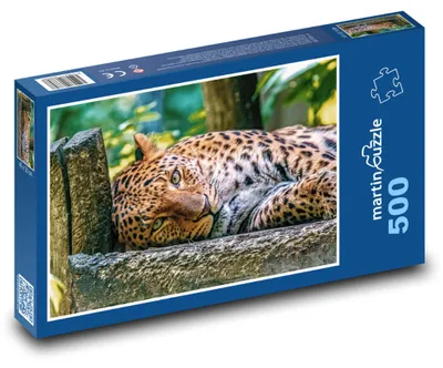 Zdjęcie produktu dla Puzzle 500 Lampart w dżungli - martinpuzzle