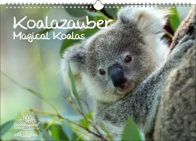 Produktbild von Koalazauber DIN A3 Immerwährender Kalender Koalabären, Koala - Seelenzauber
