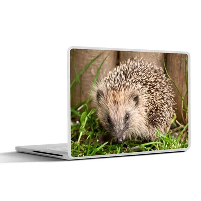 Produktbild von MuchoWow® Laptop Aufkleber Sticker Cover Igel für Holzhintergrund 25x18 cm - Laptop-Deko