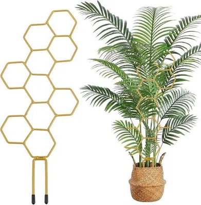 Image de Lot de 10 treillis pour plantes d'intérieur, 35 cm - Treillis en plastique pour fleurs, treillis de porte pour le jardin