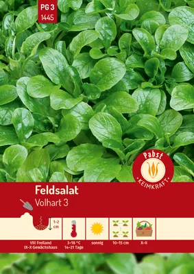 Produktbild von Pabst Keimkraft - Feldsalat schnellwüchsig & vollherzig Volhart 3 Samen - 171445
