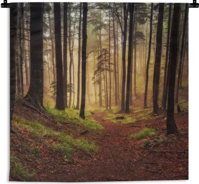Produktbild von MuchoWow® Wandteppich Wandbehang Bäume - Natur - Wald 90x90 cm Tapisserie Dekoration Wandtuch - Wandaufhänger