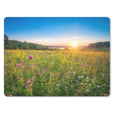 Produktbild von MuchoWow® Mauspad Mousepad Sonne - Gras - Blumen 40x30 cm - Mousepads - Maus Mat - Pad - Mausunterlage - Anti Rutsch