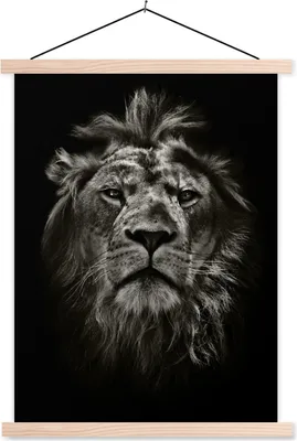Produktbild von MuchoWow® Textilposter Tiere - Schwarz - Weiß - Porträt 40x53 cm mit holzfarbenen Rahmen - Schlafzimmer