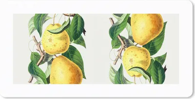 Produktbild von MuchoWow® Schreibtischunterlage Birnen - Obst - Lebensmittel 80x40 cm - XXL Mauspad - Gaming Mauspad