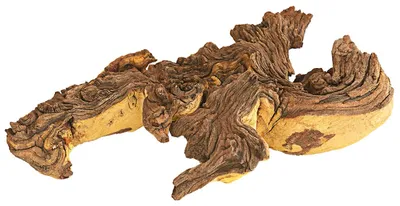 Produktbild von Dehner Mopani Wurzel, Tillandsien, Deko für Aquarium Terrarium, Ø 32 - 35 cm