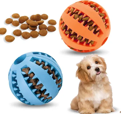 Produktbild von Interaktiver Hundespielzeugball für Welpen - Gummi-Training und Zahnpflege (6 cm, Blau, Orange)