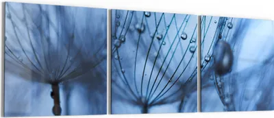 Produktbild von DEQORI Glasbild Echtglas 3x50x50 cm 'Pusteblumenperlen' Wandbilder XXL groß