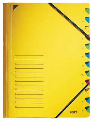 Immagine prodotto di Leitz 3912-00-15 Cartella organizer - 12 scomparti, A4, cartoncino Pendarec (RC), 430 g/m², giallo