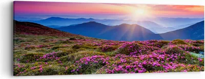 Produktbild von Bild auf Leinwand - Leinwandbild - Wiese Berg Himmel Landschaft - 90x30cm - Wand Bild - Wanddeko - Leinwanddruck - Bilder - Kunstdruck - Wanddekoration - Leinwand bilder - Wandkunst - AB90x30-2719