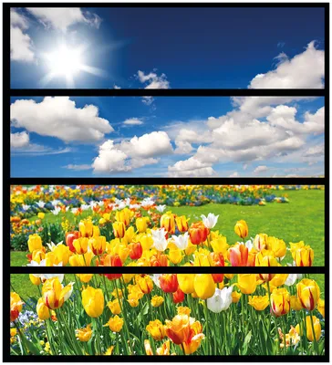 Produktbild von Wallario Möbelfolie / Aufkleber, geeignet für Ikea Malm Kommode mit 4 Schubfächern - Tulpenwiese unter blauem Himmel