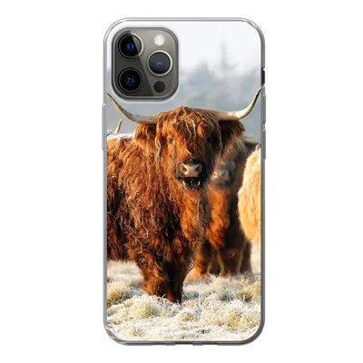 Produktbild von MuchoWow® Handyhülle Schutzhülle Hülle für iPhone 12 Pro Schottische Highlander - Schnee - Wald Silikon Softcase Handy Hülle - Abdeckung