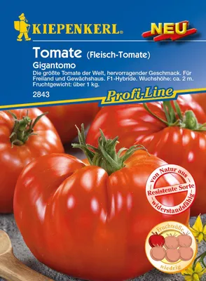 Produktbild von Fleisch-Tomate Gigantomo F1 Kiepenkerl Gemüsesamen
