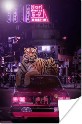 Produktbild von MuchoWow® Poster Tiger - Taxi - Stadt 40x60 cm - Plakate für die Wand - Poster Babyzimmer