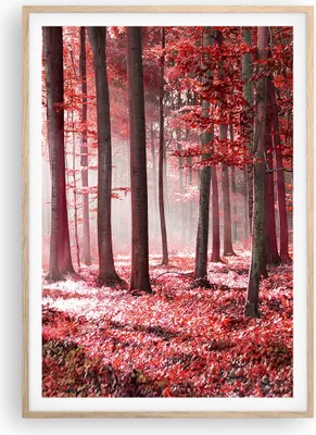 Produktbild von Gerahmtes Poster - Rahmen in heller Eiche - Wald Rot Bäume - 70x100 cm - Wand Bild - Wanddeko - Wandbilder - Kunstposter - Wandposter - Bilderrahmen - Bilder - Kunstdruck - P2NPA70x100-4944