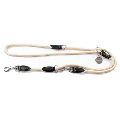 Produktbild von lionto Multifunktionsleine, 3-fach verstellbare Hundeleine aus robustem Nylon mit Kunstleder & Edelstahl, 200 cm, beige