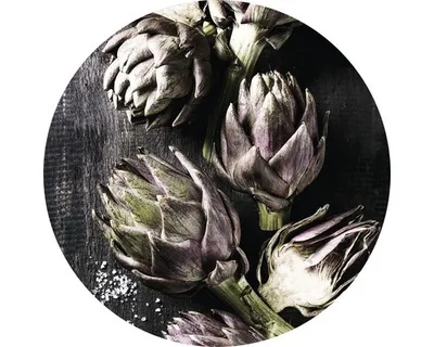 Produktbild von Glasbild Artischocken GLR122 Ø 50 cm