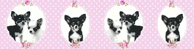 Produktbild von A.S. Création Bordüre Little Stars rosa schwarz 5,00 m x 0,13 m 358502 35850-2