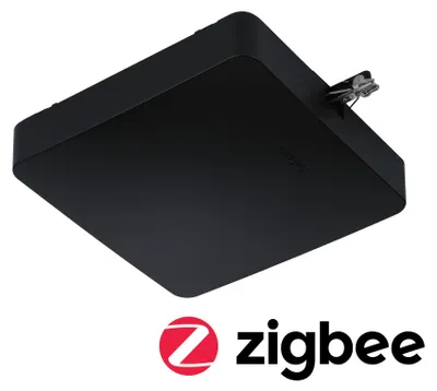 Produktbild von Paulmann 96819, Beleuchtungsstromversorgung, Schwarz, Kunststoff, Smart Home Zigbee, I, 300 W