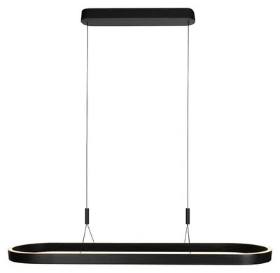 Obrázok produktu pre Steinhauer Exclusive - závesná lampa - Mykty - čierna - kov - dizajnová lampa - LED - 4205ZW