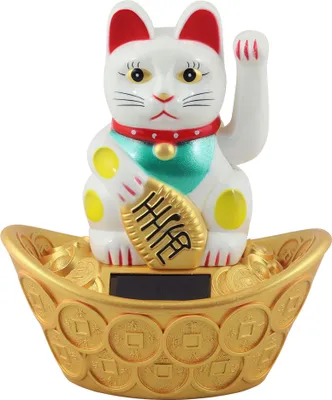 A white lucky cat figurine with a raised paw sits on a golden oval base filled with coins.