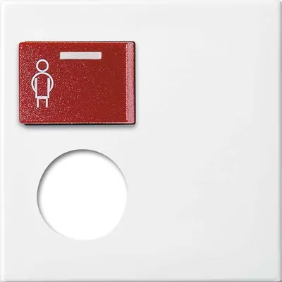 Produktbild von Busch-Jaeger Zentralscheibe alpinws 2548-071 E-914 2CKA001724A4346