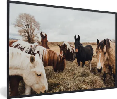 Produktbild von MuchoWow® Gerahmtes Poster Tiere - Pferd 90x60 cm - Poster mit Schwarzem Bilderrahmen Wandposter Rahmen Foto Bilder - Fotorahmen - Foto-Plakat