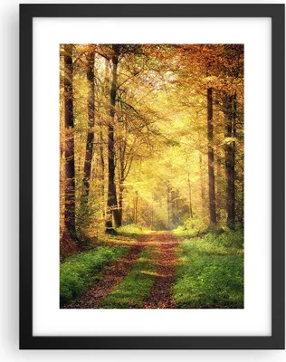 Produktbild von Gerahmtes Poster - Schwarzer Rahmen - Wald Baum Natur - 30x40 cm - Wand Bild - Wanddeko - Wandbilder - Kunstposter - Wandposter - Bilderrahmen - Bilder - Kunstdruck - Wandbild - P2BPA30x40-3718
