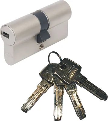 Produktbild von ABUS EC550 Doppelzylinder Länge (a/b) 45/55mm (c=100mm) mit 4 Schlüssel, SKG** Bohrschutz