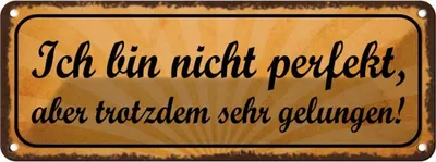 Produktbild von vianmo Blechschild 10x27 cm ich bin nicht perfekt aber sehr Spruch Zitat