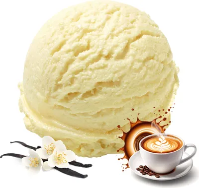 Image de Poudre pour crème glacée à la vanille et au cappuccino 10 kg