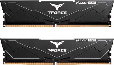 Two black RAM modules are shown against a white background.