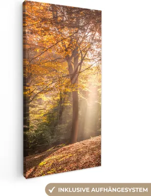 Produktbild von MuchoWow® - Leinwandbilder - Herbst - Licht - Wald, Wandbild, Wanddeko Bilder Wohnzimmer, 40x80 cm