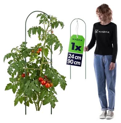 Produktbild von KADAX Pflanzstab 24 x 90 1 Stück, Pflanzenstütze aus Stahl mit Kunststoffbeschichtung, Rankhilfe für Tomaten, Gurken & Kletterpflanzen, Rankbogen für Gewächshaus