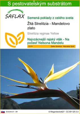 Obrázok produktu pre SAFLAX - Žltá Strelitzia - Mandelovo zlato - Strelitzia reginae Yellow - 4 Semená - S pestovateľským substrátom bez klíčkov