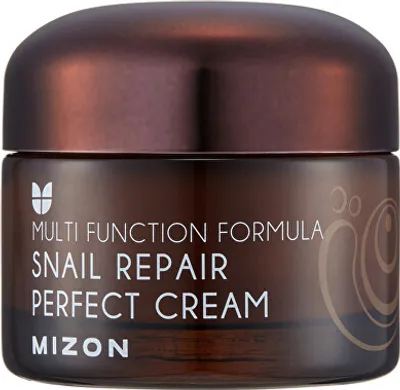 Obrázek produktu pro Mizon Snail Repair Perfect Cream 50ml