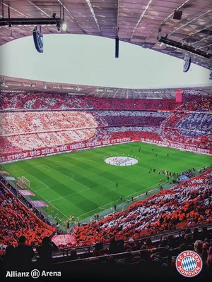 Produktbild von FC Bayern München Bettwäsche Arena 135x200 cm mehrfarbig Fan Bettwäsche