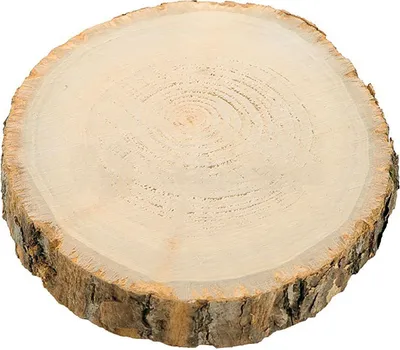 Holzscheibe Baumscheibe Deko Hochzeit 1 Stück 17 cm Tisch-Deko Geburtstag Basteln DIY Winter Weihnachtszeit Tischdekoration