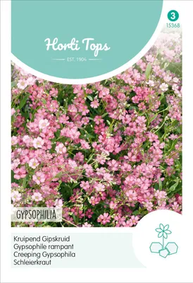 Productafbeelding van Schleierkraut Rosa | Bloemzaden van Hortitops