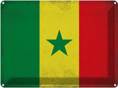 Produktbild von vianmo Blechschild 30x40 cm Senegal Flagge Fahne Wappen
